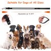5FT Light Up Dog Leash LED Dog Leash Dog Walking Leash with 9 Light Colors IPX7 Waterproof USB Rechargeable