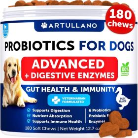 Probiotics For Dogs Support Gut Health Itchy Skin Allergies Immunity Yeast Balance Dog Probiotics And Digestive Enzymes With Prebiotics Reduce Diarrhe