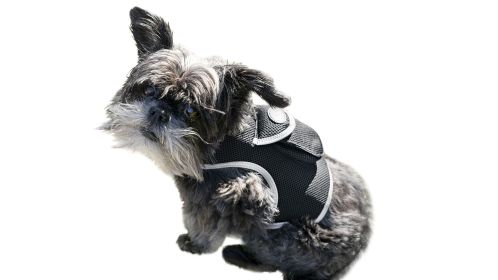 Locate Your Dog with Rechargeable Mini GPS Pet Collar Tracking Device Size:XL