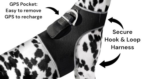 Inexpensive Less Maintenance GPS Tracker Dog Collar Rechargeable Tracking Gadget Size:XL