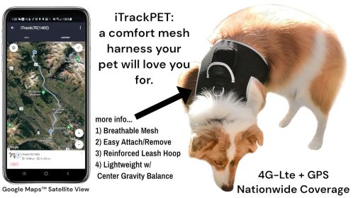 Monitor Pets with Pet Tracker Rechargeable Dog Collar GPS Tracking Device Size:XL