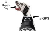 Waterproof Collar Mount Tracker w/ Realtime App GPS Tracking for Dogs Size:S