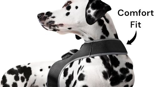 Cost-Saving GPS Dog Collar Tracker w/ Realtime Phone Pet Tracking App Size:XL