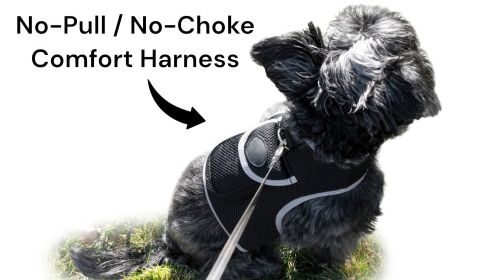 Comfortable Non-Allergenic GPS Tracker for Dog Collar Mount GSM Tracking Device Size:XL