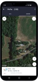 Affordable GPS Pet Collar Realtime Rechargeable Tracking System for Cats & Dogs Size:XL