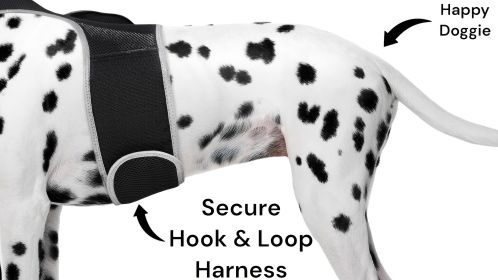 Waterproof Wireless Pet Tracker Rechargeable GSM GPS Collar for Dogs Size:S