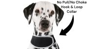Mini Rechargeable GSM GPS Tracking Dog Collar Device Portable Locator Size:XL