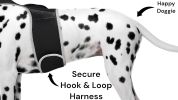 Durable Collar Mount Dog Trackers Mini GSM GPS Pet Tracking Device NEW Size:XL