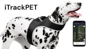 Inexpensive Less Maintenance GPS Tracker Dog Collar Rechargeable Tracking Gadget Size:XL