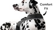 Heavy Duty GSM GPS Dog Collar Realtime Rechargeable Tracking Device w/ Phone App Size:XL