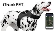 Wireless Pet Monitoring with Pet Tracker GSM GPS Pocket Dog Collar Tracker Size:S