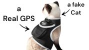 Android iPhone Compatible Cat Dog GPS Collar GSM MIni Tracking Device Size:XL