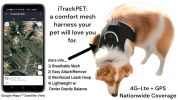 Collar Mount Mini Pet GSM GPS Tracking Device for Dogs with Mobile App Size:XL