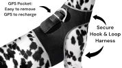 Mini Dog Collar GPS GSM Tracking System Waterproof Fashionable Tracker Size:XL