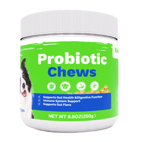 Probiotics Chews For Pets (Option: 1PC)