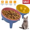 Raised Tilted Elevated Food Bowl Pet Backflow Prevention Water Dish Feeding Bowl for Cats & Small Dogs
