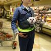 Pet Carrier for Dogs or Cats; Hands Free, Adjustable Sling with Padded Strap; Breathable Shoulder Bag Style