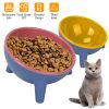 Raised Tilted Elevated Food Bowl Pet Backflow Prevention Water Dish Feeding Bowl for Cats & Small Dogs