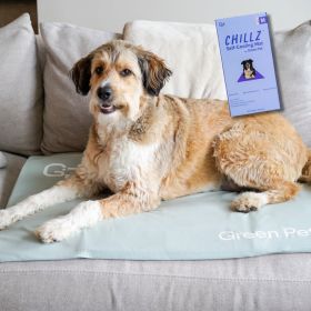 Chillz Gel Mat Cover (Color: Sage, size: large)