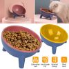 Raised Tilted Elevated Food Bowl Pet Backflow Prevention Water Dish Feeding Bowl for Cats & Small Dogs